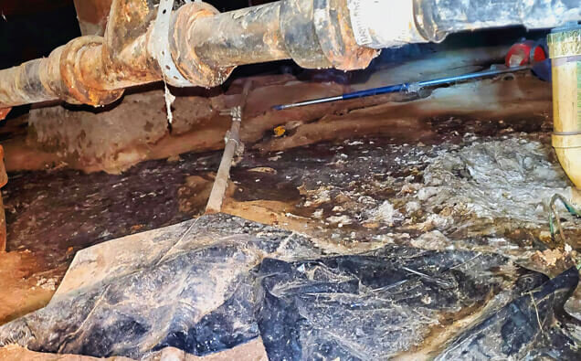 https://plumberrivervale.com.au/uploads/2025/06/plumbing-73706.jpg